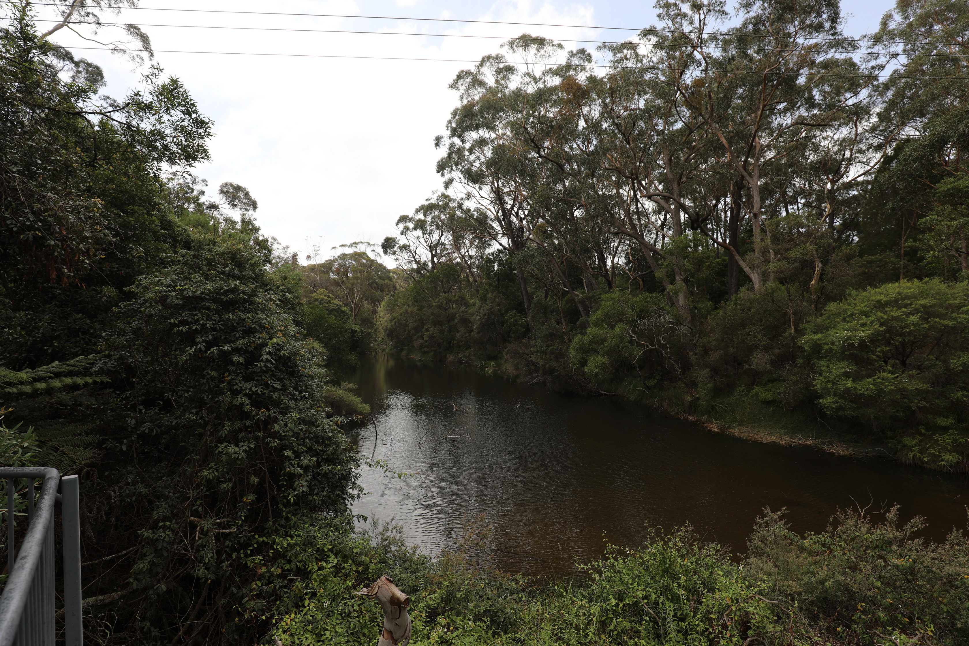 Fitzroy Falls Lookout